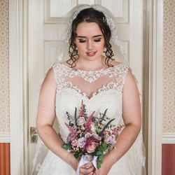 Professional Photos